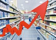 تشدید نوسان قیمتی در بازار کالاهای اساسی - اکونیوز