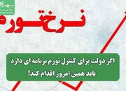 اگر دولت برای کنترل تورم برنامه ای دارد باید همین امروز اقدا... -