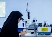 رتبه یازدهم ایران در بین کشورهای اسلامی - اکونیوز