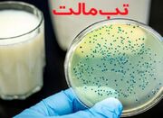 یوسفی: ۶۳۹ مبتلا به تب مالت در کردستان شناسایی شد - اکونیوز