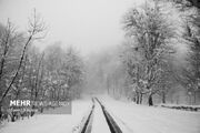 مرادی: بارش برف در ارتفاعات رودبار به ۲۵ سانتیمتر رسیده است - اکو