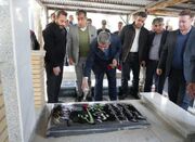 غبارروبی گلزار شهدای پلدختر با حضور استاندار لرستان - اکونیوز