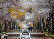 ورود سامانه بارشی جدید به استان‌های غربی کشور - اکونیوز