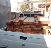 سرپرست منابع طبیعی آمل: ۱۰ مترمکعب چوب جنگلی قاچاق کشف شد - اکونی