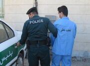 عربده‌کش خیابان استاد حسن بنا دستگیر شد - اکونیوز