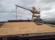 مدیرکل دامپزشکی مازندران: نهاده‌های دامی بدون هیچ خللی از ۳ ... -