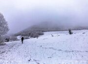 سازمان هواشناسی برای آخر هفته هشدار داد - اکونیوز