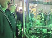 صالحی‌امیری: هتک حرمت حرم سبزقبا چهره واقعی دشمنان ایران را ... -