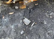 زخمِ آتش بر پیشانیِ محراب؛ روایتی از شبِ تلخِ شهرک امام - اکونیوز