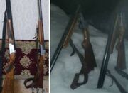 کشف و ضبط دو قبضه سلاح شکاری از متخلفان پیش از شروع شکار در ... -