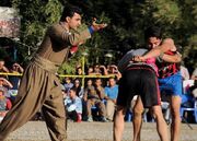 «زوران» کرمانشاه رو به افول رفته/ باید کمیته‌ای مستقل برای آ... -