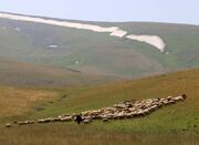 احیای یک هکتار مرتع و اضافه شدن ۲۵۰ مترمکعب به ظرفیت نفوذ آب... -