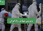 ویروس نیپا در راه ایران - اکونیوز