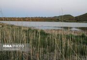 آخرین نفس‌های تالاب‌های خراسان - اکونیوز