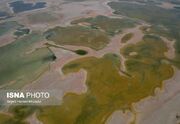 آب، حقی که به تالاب‌های خوزستان نمی‌رسد - اکونیوز