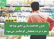 بدون هدفمندسازی دقیق بودجه، سفره مردم همچنان کوچک‌تر می‌شود - اکو