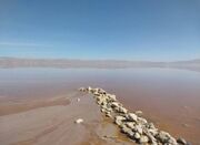 بحران در کمین آب‌های زیرزمینی تالاب‌ها/ چشمه‌های آب شیرین مه... -