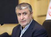 اسلامی: ۲۰ دستاورد صنعت هسته‌ای در دهه فجر رونمایی می‌شود - اکونی