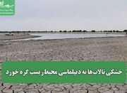 خشکی تالاب‌ها به دیپلماسی محیط‌زیست گره خورد - اکونیوز