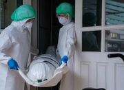 زنگ خطر در آسیا با شیوع ویروس نیپا در هند - اکونیوز