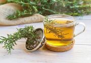 دمنوش رزماری؛ گزینه‌ای مؤثر برای مشکلات گوارشی و سردمزاجی - اکونی