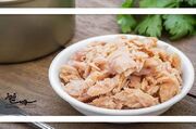 آیا خوردن روزانه ماهی تُن بی‌خطر است؟ - اکونیوز