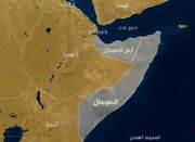 سومالی: وجود هیچ پایگاه نظامی خارجی را در کشورمان تحمل نخواه... -