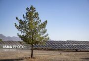 آغاز فاز اجرایی نیروگاه خورشیدی ۲۰۰ مگاواتی دشتی - اکونیوز