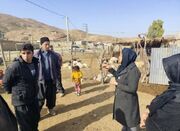 محقق مرکز تحقیقات کشاورزی ایلام نسبت به خطر بیماری «کزاز علف... -