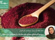 بررسی اثربخشی سماق برای مقابله با زخم های حاد دهانی - اکونیوز