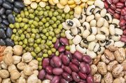 قیمت انواع حبوبات غیرشرکتی اعلام شد - اکونیوز