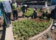 اصلاح الگوی کاشت در مشهد صرفا محدود به میادین و بلوارها نیست... -