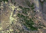 مطالعه پژوهشگر ایرانی دانشگاه تربیت مدرس جهانی شد؛ علفزارها ... -