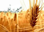 ۱۰۸ درصد برنامه زکات در استان زنجان محقق شد - اکونیوز