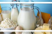 خطر تب مالت با لبنیات محلی / تاکید وزارت بهداشت بر مصرف لبنی... -
