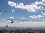 پایداری هوا تا سه روز آینده - اکونیوز