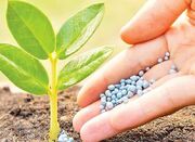 نظارت بر نهاده‌های کشاورزی تقویت می‌شود - اکونیوز