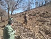 آزادسازی ۴ قطعه از اراضی ملی در خرم‌آباد - اکونیوز