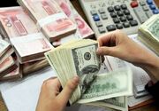 جزئیات فروش ارز اربعین؛ هر متقاضی چند دینار می‌گیرد؟ - اکونیوز