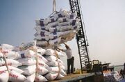 درخواست تداوم ممنوعیت واردات برنج در فصل برداشت - اکونیوز