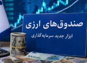 ابزار سرمایه‌گذاری یا مسیری برای جذب ارزهای سرگردان - اکونیوز