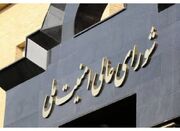 جزئیات مصوبه شعام درباره نحوه همکاری با تراستی‌ها - اکونیوز