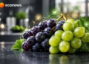 مصرف ناشتای این میوه فشار خونتان را تنظیم می‌کند - اکونیوز