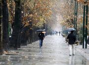 مردم برای یک هفته پربارش آماده باشید - اکونیوز