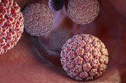 اشتباهات رایج درباره واکسن HPV