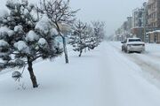 بارش برف در ارتفاعات این شهر/ نمک پاشی در جاده