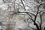 این استان‌ها از شنبه منتظر برف و باران باشند