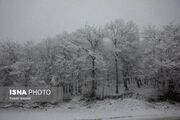 برف و باران در راه 28 استان کشور/ هشدار زرد صادر شد