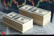 قیمت دلار یک کانال بالا رفت | تثبیت نرخ در محدوده 142 هزار تومان | بازار ارز زیر سایه ابهامات سیاسی