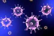 افزایش بیماری‌های عفونی پس از تجمعات گسترده و بازگشت زائران/ ویروس جدید در کار است؟